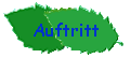 Auftritt